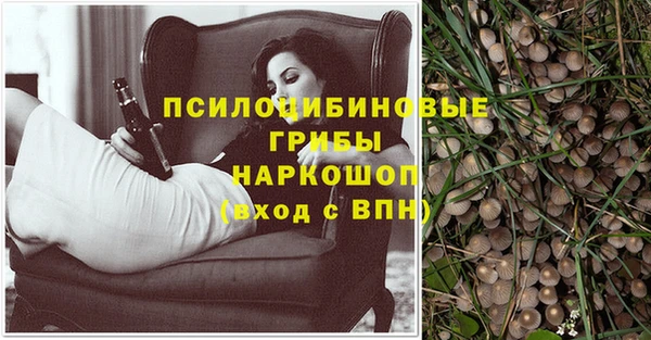 дурь Беломорск