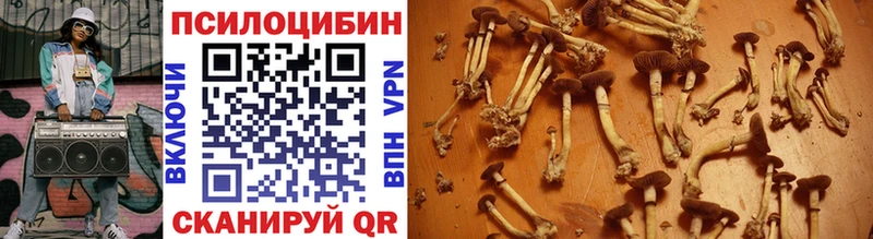 Галлюциногенные грибы прущие грибы  дарнет шоп  Гороховец 